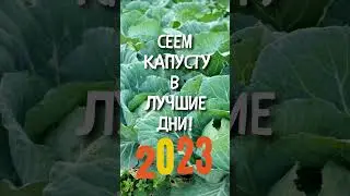 Когда лучше сеять капусту ПО ЛУННОМУ КАЛЕНДАРЮ #shorts