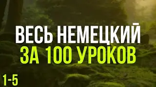 Весь Немецкий за 100 уроков. Немецкие слова и фразы. Немецкий с нуля. Немецкий язык. Часть 1-5