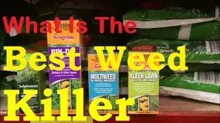 What Is The Best Weed Killer For Lawns [How To Get Rid Of Weeds In Lawn] [How To Kill Wintergrass]