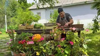 SUMMER IN RELAXING VILLAGE | GRANDMA COOKING THE BEST DISH | COUNTRYSIDE LIVING | AZERBAIJAN CUISINE