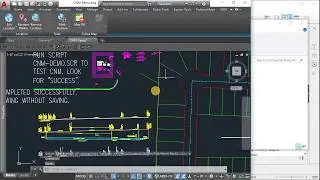 CNM 5.1 From the Beginning