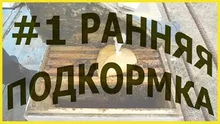 ранняя весенняя подкормка кормление пчел пчеловодство пасека пчелы