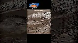 Power of Sultan Salahuddin Ayyubi 🔥WhatsApp attitude status #shorts #trending #kingdomofheaven#viral