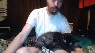 game dev - catstractions