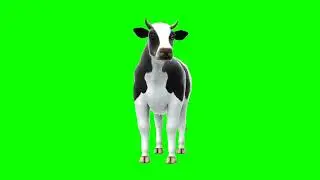 GFM - 4K/HD - Royalty Free Download - Cow 1 - Green Screen - Animation - FX - Cinematic Special FX