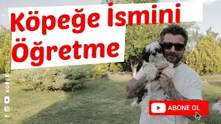 Don't Teach the Dog His Name