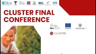 Cluster Final Conference