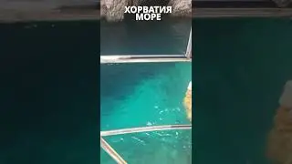 Хорватия лучшее летнее приключение на Адриатическом море Карлобаг и остров Шаг #shorts