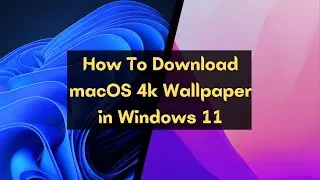 How to Download macOS Latest 4k Wallpaper on Windows 11