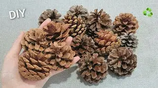 VERY EASY! I make MANY and SELL them all! Genius Recycling Idea with Pine cone - Amazing trick