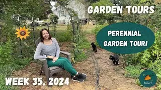 How I'm doing less work in the garden next year | Garden Tour WEEK 35, 2024