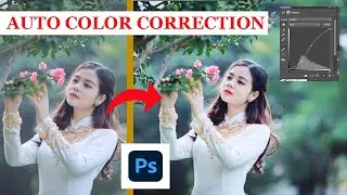 Photoshop tips power of auto color correction algorithm photoshop basics tutorial