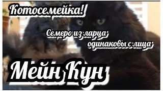 Семеро из ларца одинаковых с лица 