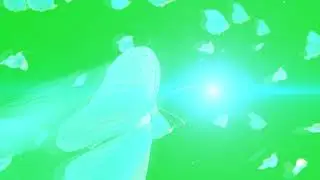 Butterfly   effect II Animated Butterfly Green Screen Amazing Landing Effects 