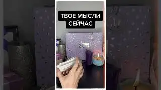 ТВОИ МЫСЛИ СЕЙЧАС #shorts