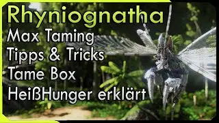 Rhyniognatha Zähm Guide | Maximal Taming - Heißhunger erklärt - Tipps & Tricks - Tamebox uvm