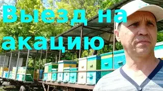 Выезд на акацию