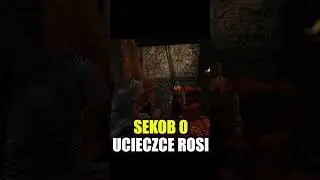 Reakcja Sekoba na ucieczkę Rosi #gothic #gothic2