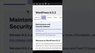 Did you know this latest update from WordPress? 