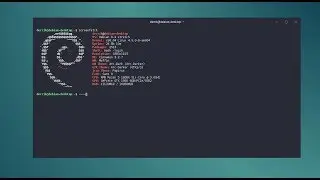 Linux: the most basic Linux commands every developer should know