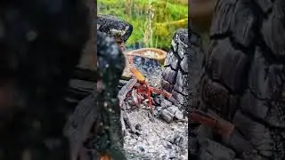 FoodPorn at it's best 🔥 Enjoy #shorts #menwiththepot #cooking #forest #fire #food  #nature #outdoors