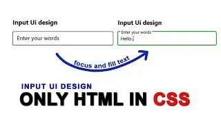 Input ui design with animation effect only html and css | css animation