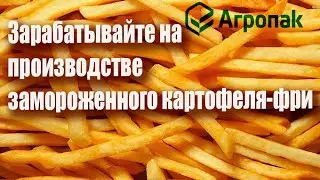 Полная индийская линия по производству картофеля фри, производительностью 3 тонны в час