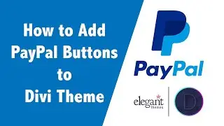 How to Add PayPal Buttons to Divi Theme by ElegantThemes