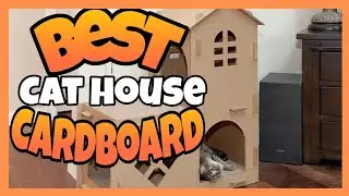 TOP 5✅BEST CARDBOARD CAT HOUSE 2024-2025 REVIEWED |✅BEST CARDBOARD CAT HOMES| CARDBOARD KITTEN HOUSE