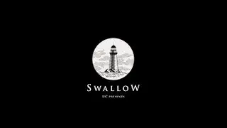 Swallow (2022). Полное прохождение (на ПК) Тайваньского хоррора от первого лица.