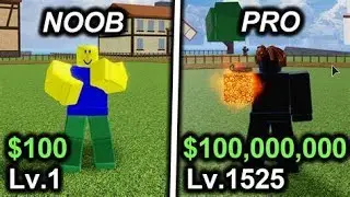 Noob To Pro Roblox blox fruits