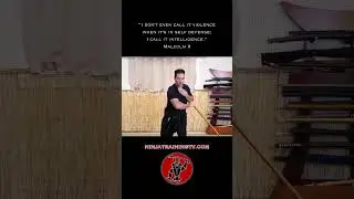 Walking Cane Striking Combo, #shorts #ninja #samurai #martialarts