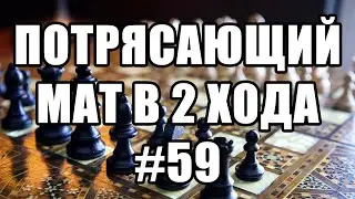 Шахматные задачи мат в два хода. Выпуск №59. Потрясающий мат в 2 хода. Решение задач по шахматам