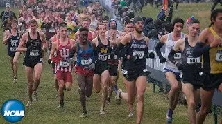 Men's 10k - 2019 DI NCAA cross country championship - full highlights