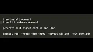 self signed certificates and https server in 3 minutes