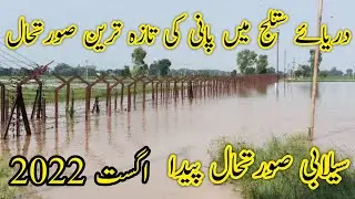 Darya-e-Sutlej main pani ki taza updates || sutlej river news today, | Latest from sutlej river