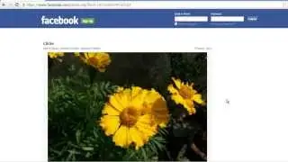 How to Download Facebook Photos in their Original Resolution?