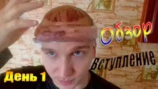 Пересадка волос, День первый после пересадки (Вступления)