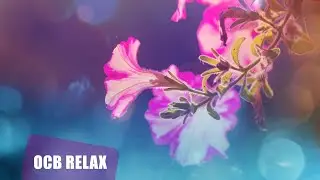 10 Hours of Relaxing Music - Sleep Music, Piano Music for Stress Relief, Sleeping Music (Leona)