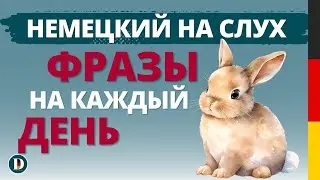 1 Час | Фразы на каждый день!  Разговорная немецкая практика Doch.online