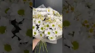 Часть моей жизни 💞