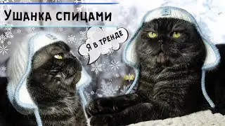 Тренд сезона 🐾 УШАНКА спицами из пуха норки с кеттлевкой для кота