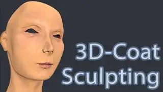 3D-Coat Sculpting Workflow Tutorial