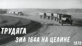 Автопоезда на целине.  ЗиЛ 164А и 3-и прицепа. (1970 год)