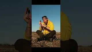 О современном человеке