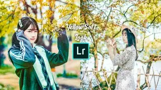 Cara edit Foto Yellow Soft Look | Lightroom Mobile Yellow Soft Look