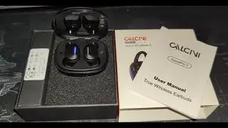 Calcini Wireless Bluetooth IPX8 Waterproof Earbuds