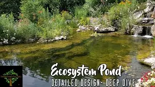 Aquascape Ecosystem Pond - A deep dive exploring detailed design aspects.