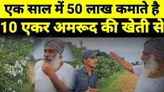 एक साल में 50 लाख कमाते हैं। अमरुद की खेती से #viral #kisan  #upnews #gavafarming  #farmer