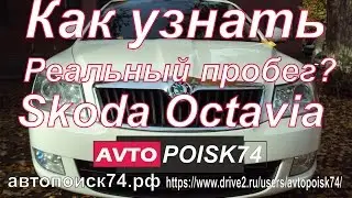 Как узнать реальный пробег Skoda Octavia?